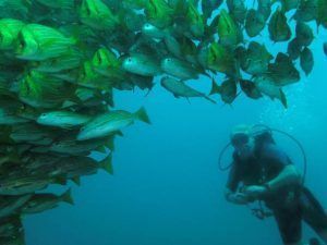 2.1.4.b.Remote paradises of Costa Rica: Central and South Pacific