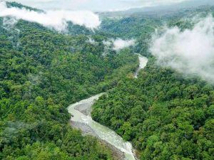 4.1.1.Naturalist trips for researchers, students and biologists