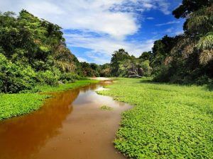 4.1.2.Naturalist trips for researchers, students and biologists