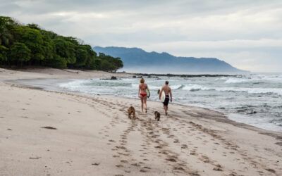 Que hacer en Guanacaste
