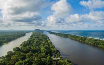 Que hacer en Tortuguero