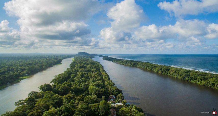 Que hacer en Tortuguero