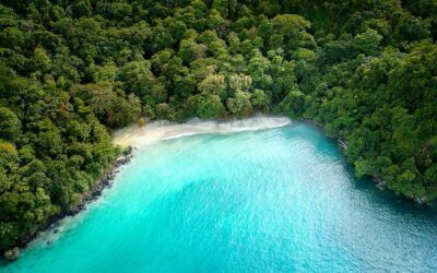 Que hacer en Manuel Antonio Costa Rica