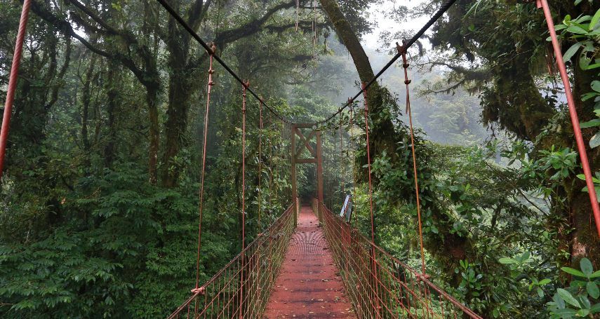 Que hacer en Monteverde Costa Rica