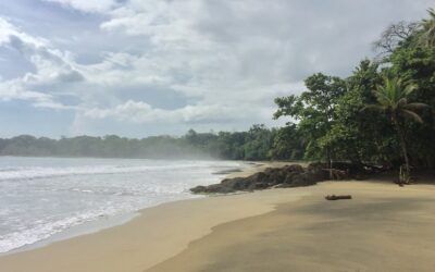 Que hacer en Puerto Viejo de Talamanca