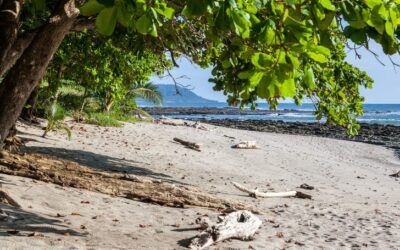 Que hacer en Santa Teresa Costa Rica